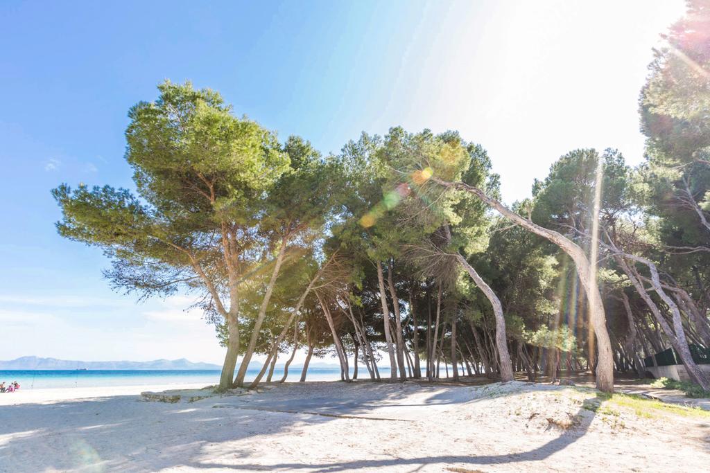 Pinya Villa Port de Alcudia  ภายนอก รูปภาพ